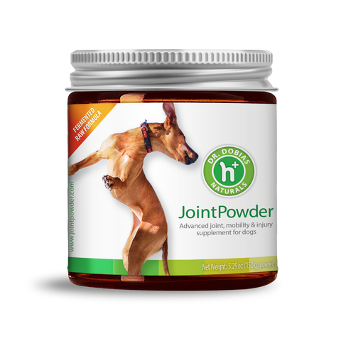 The Wholesome Benefits of Barley Grass for Canine Wellness Dr. Dobias Natural Healing