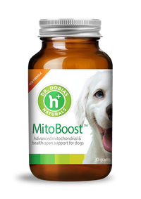 MitoBoost™ energy and longevity supplement for dogs | Dr. Dobias