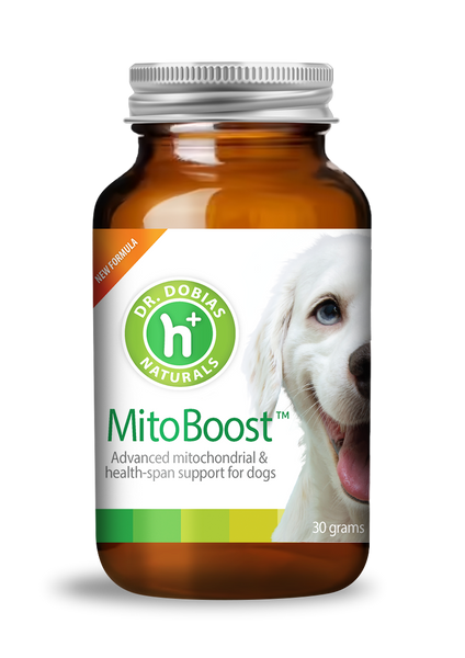 健康・医学 dodo MitoBoost™ – Dr. Dobias International
