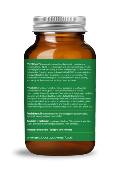 MitoBoost™ energy and longevity supplement for dogs | Dr. Dobias