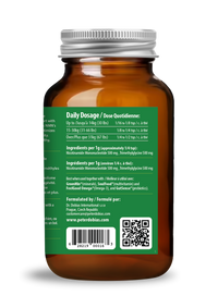 MitoBoost™ energy and longevity supplement for dogs | Dr. Dobias