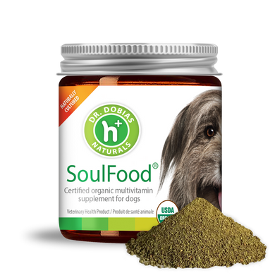 SoulFood® certified organic fermented multivitamin for dogs | Dr. Dobias