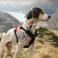 Perfect Fit Harness for dogs | Dr. Dobias