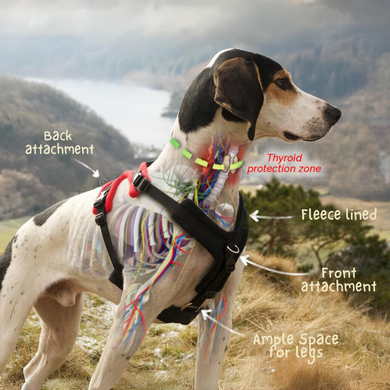 Perfect Fit Harness for dogs | Dr. Dobias