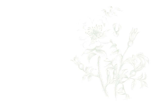 Background flowers