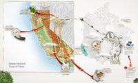 A map of the world with different routes