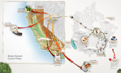 A map of the world with different routes