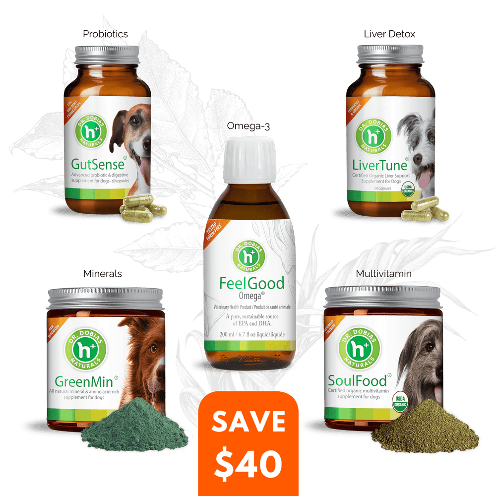 Canine Longevity Bundle