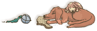 Sleepy dog icon