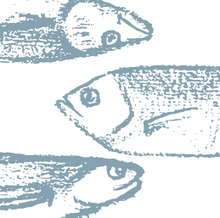 Why not fish?