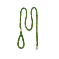 A green snake with yellow and black spots