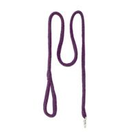 A purple leash with an elastic loop